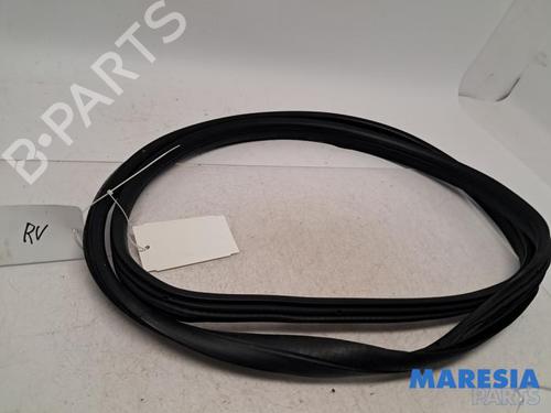 Gummiliste PEUGEOT 107 (PM_, PN_) 1.0 (68 hp) 31461605