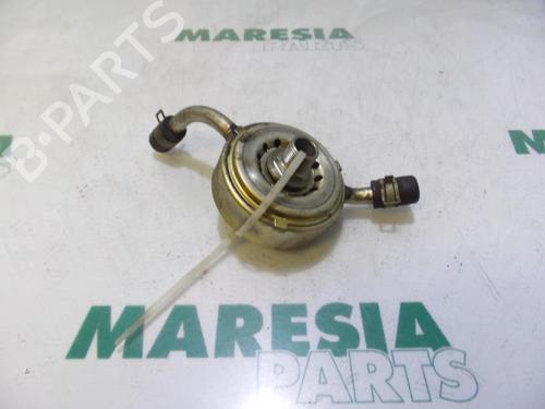 Oil radiator RENAULT VEL SATIS (BJ0_) 3.5 V6 (BJ0R, BJ0V, BJ0U) | BP31495846M33