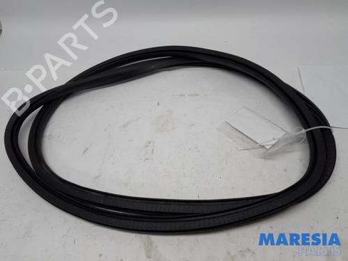 rubber-door-seal-citroen-c4-grand-picasso-ii-da_-de_-2013-31474367 main image