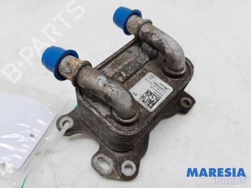 Used Oil radiator RENAULT CLIO IV (BH_) 1.2 TCe 120 (BHM0) (120 hp) 31423193