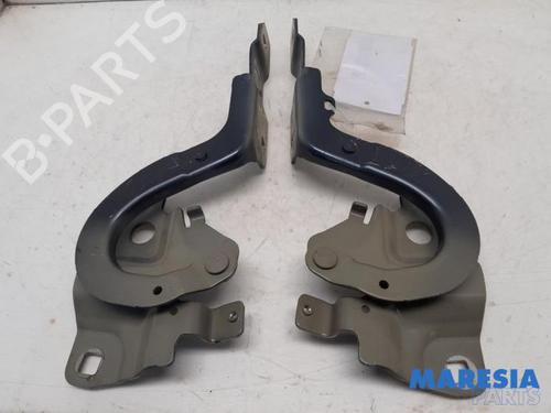 Dørhængsel/Dørbegrænser RENAULT ZOE (BFM_) ZOE (BFMD) | BP31445992C146