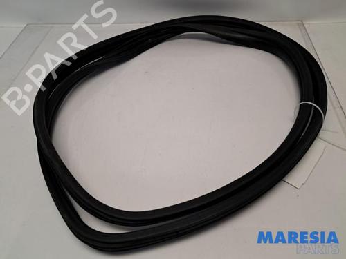Used Rubber door seal FIAT 500 (312_) 0.9 (312AXN1A) (80 hp) 31438008