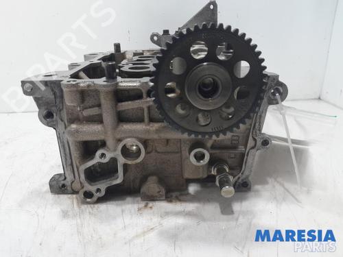 Cylinder head FIAT PANDA (312_, 319_) 0.9 (312PXH1A) | BP31479473M5 