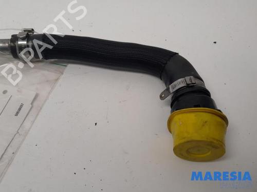 Other ALFA ROMEO STELVIO (949_) 2.0 Q4 (949.AXA2A) | BP31429466O1