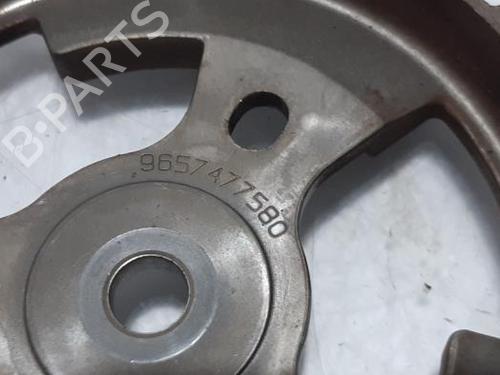 Pulley PEUGEOT BIPPER (AA_) 1.4 HDi | BP31385160M122