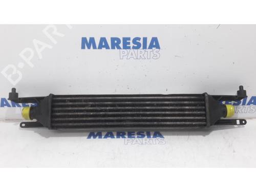 Used Intercooler FIAT PUNTO EVO (199_) 1.3 D Multijet (84 hp) 31466282