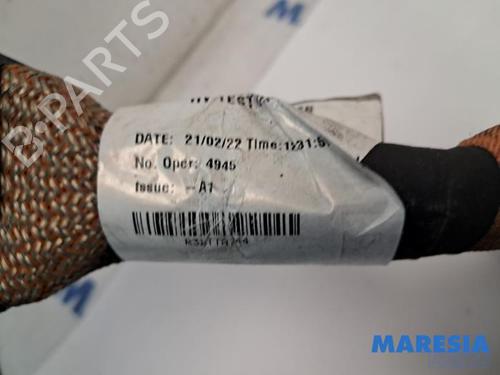 Wiring harness RENAULT ARKANA I (LCM_, LDN_) 1.6 E-TECH 145 (LDMU) | BP31428599E16