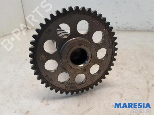 Other FIAT PUNTO (199_) 0.9 | BP31402331O1 