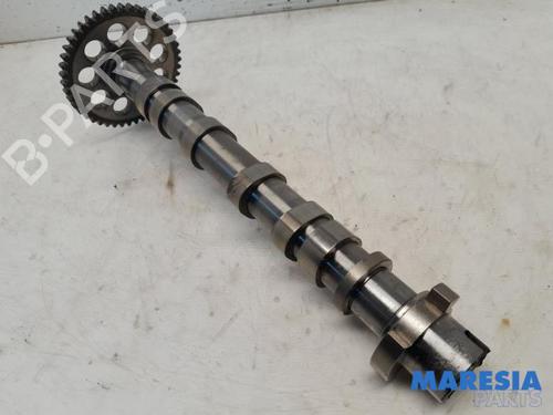 Other FIAT PUNTO (199_) 0.9 | BP31402331O1 