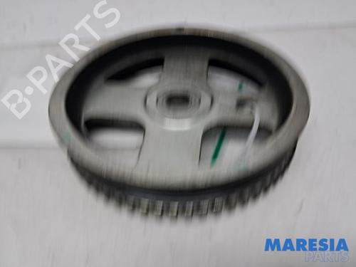 Used Pulley FIAT PANDA (312_, 319_) 0.9 (312PXP1A) (60 hp) 31505481
