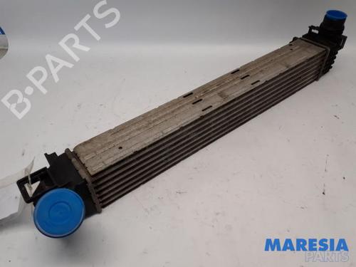 Used Intercooler RENAULT MEGANE III Coupe (DZ0/1_) 1.4 TCe (DZ0F, DZ1V) (131 hp) 31484453