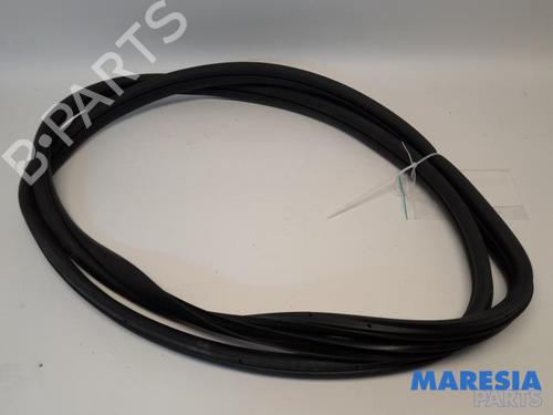 Used Rubber door seal FIAT 500 C (312_) 0.9 (312AG1A) (86 hp) 31466582
