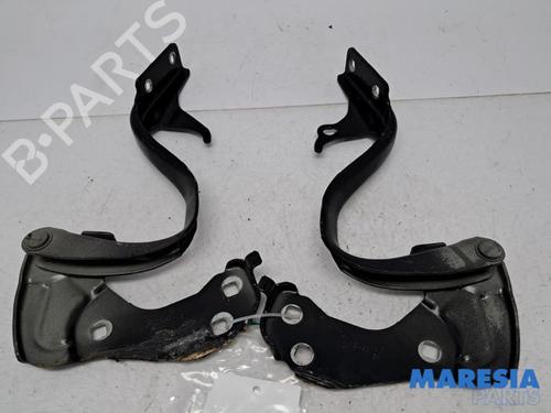Used Hinge/Door check strap FIAT 500 C (312_) 1.2 (312CXA1A, 312AXA1A) (69 hp) 31526730