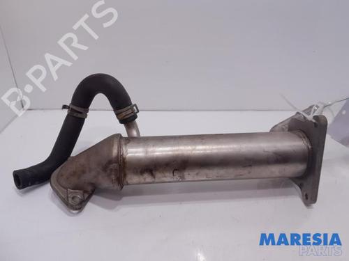 BP31393437M69 main image