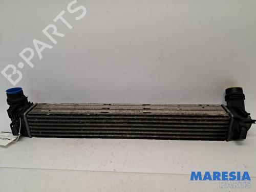 Intercooler RENAULT MEGANE III Grandtour (KZ0/1) 1.4 TCe (KZ0F, KZ1V) (130 hp) 31509033