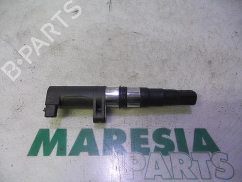 Used Ignition coil RENAULT CLIO III (BR0/1, CR0/1) 1.4 16V (98 hp) 31513043