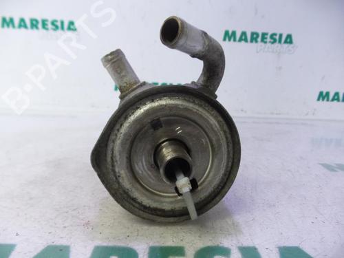 Oil radiator RENAULT MEGANE II Estate (KM0/1_) 1.5 dCi (KM0F, KM0T, KM2B) | BP31518225M33