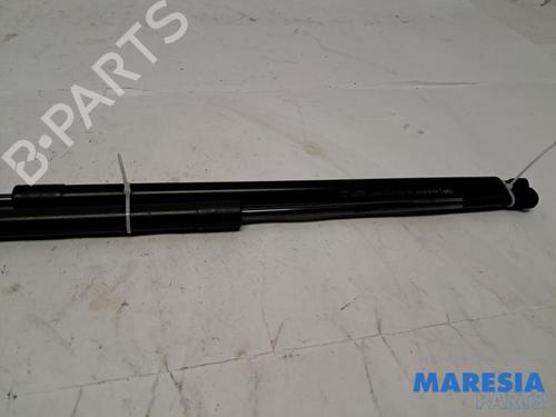 BP31462065C138 main image