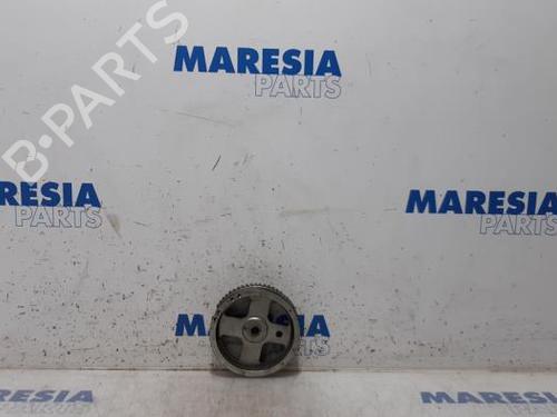 Used Pulley FIAT PANDA (312_, 319_) 0.9 (312PXN1A, 312PXN11) (80 hp) 31465473