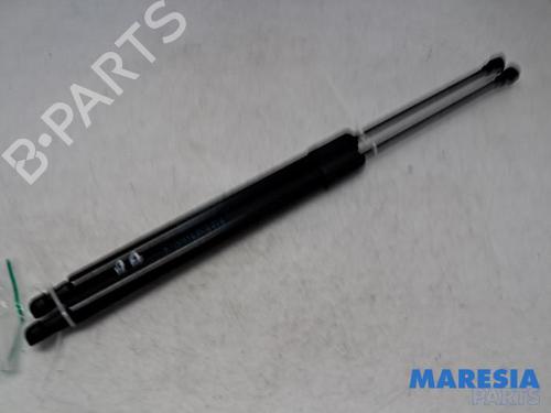 tailgate-lift-support-renault-scenic-iv-j9_-2016-2017-2018-2019-2020-2021-2022-31404195 main image