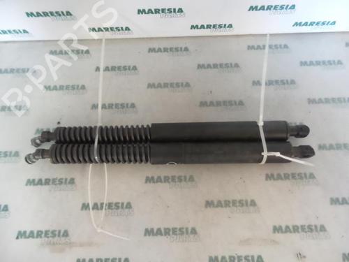 tailgate-lift-support-peugeot-307-cc-3b-2003-2004-2005-2006-2007-2008-2009-31516602 main image