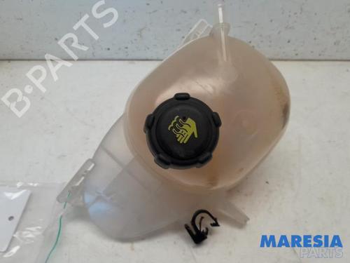 Used Expansion tank RENAULT TWINGO III (BCM_, BCA_) 1.0 SCe 70 (71 hp) 31469723
