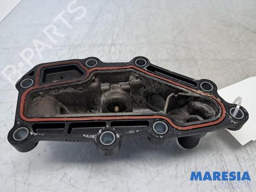 Used Thermostat housing RENAULT GRAND SCÉNIC III (JZ0/1_) 1.4 16V (JZ0F) (131 hp) 33055007