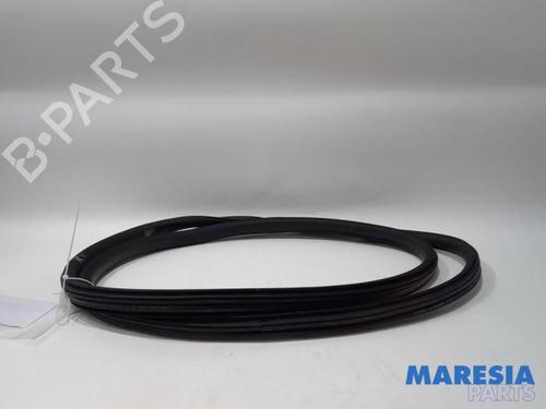 borracha-vedante-da-porta-citroen-c3-iii-sx-2016-31461927 main image