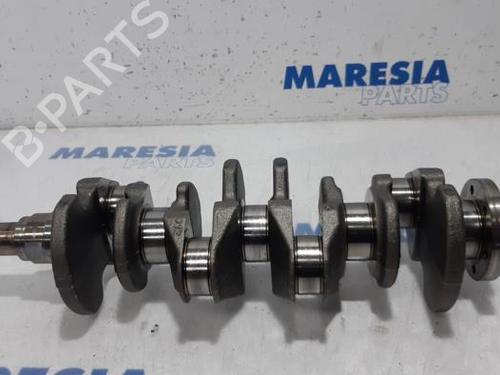 BP31394453O1 main image