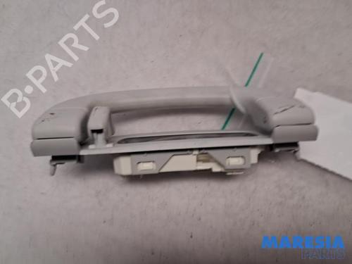 Interior roof handle FIAT 500L (351_, 352_) 1.4 (199LYF1B) | BP31420980I35