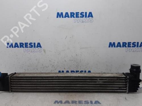 Used Intercooler RENAULT MEGANE III Hatchback (BZ0/1_, B3_) 1.5 dCi (106 hp) 31451220