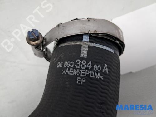 Pipe CITROËN C4 Picasso II 1.6 THP 155 | BP31503262M125