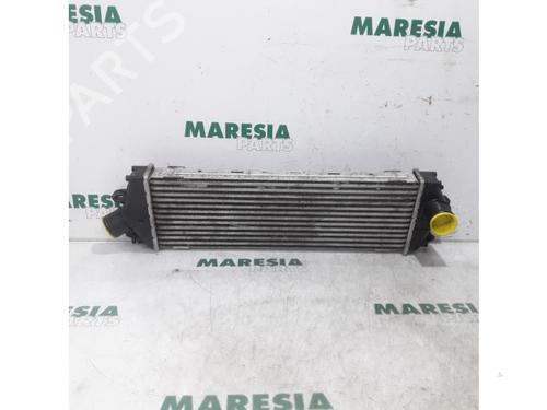 Used Intercooler RENAULT TRAFIC II Van (FL) 2.0 dCi 115 (FL01, FL0U, FL00, FL0H, FL0M) (114 hp) 31520231