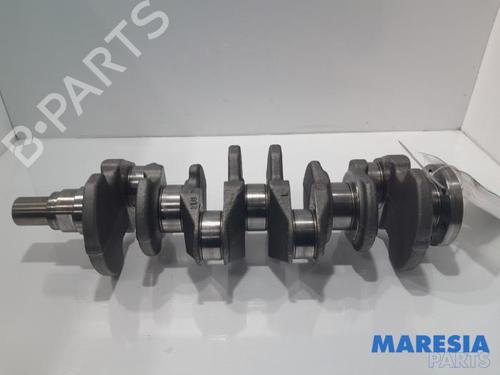 BP31404726O1 main image