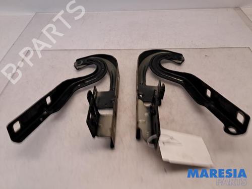 Used Hinge/Door check strap PEUGEOT 3008 I MPV (0U_) 1.6 VTi (120 hp) 31391891