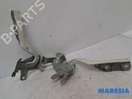 Used Hinge/Door check strap RENAULT CLIO IV (BH_) 0.9 TCe 90 (BHNF, BHMA, BHMH, BHJK, BHJR) (90 hp) 31536006
