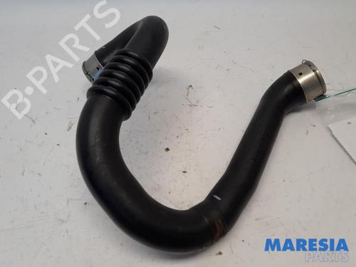 Used Exhaust system RENAULT SCÉNIC III (JZ0/1_) 1.4 16V (JZ0F, JZ1V) (131 hp) 31525301