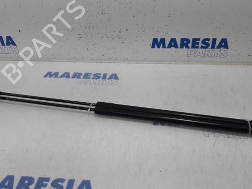 tailgate-lift-support-renault-megane-iii-coupe-dz01_-2008-2009-2010-2011-2012-2013-2014-2015-2016-31515015 main image