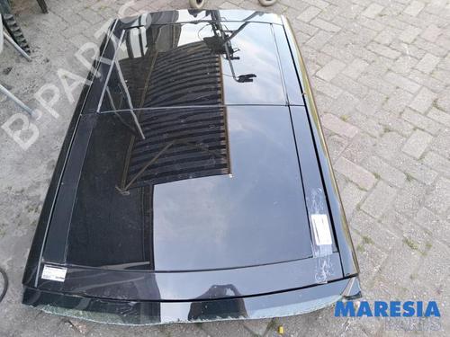 Schiebedach für RENAULT GRAND SCÉNIC III (JZ0/1_) 1.4 16V (JZ0F) (131 hp) 31419847