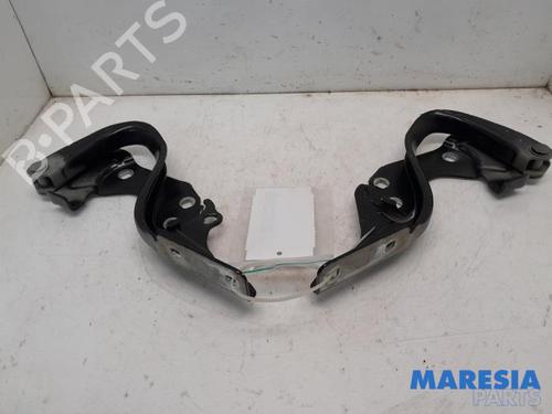 Used Hinge/Door check strap FIAT 500 (312_) 1.2 (312AXA1A) (69 hp) 31459192