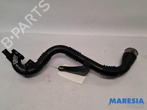 Used Exhaust system RENAULT CLIO IV (BH_) 0.9 TCe 90 (BHNF, BHMA, BHMH, BHJK, BHJR) (90 hp) 31505604