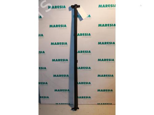 Used Rear parcel shelf RENAULT MEGANE II Coupé-Cabriolet (EM0/1_) 1.6 (113 hp) 31496100