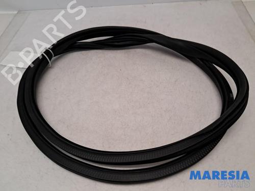 Gummiliste CITROËN C3 III (SX) 1.2 PureTech 82 | BP31477525C142