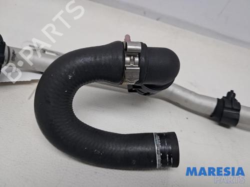 Pipe ALFA ROMEO GIULIA (952_) 2.9 Quadrifoglio (952AAM24) | BP32011831M125