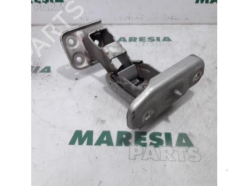 Hinge/Door check strap FIAT SCUDO Van (270_, 272_) 2.0 D Multijet | BP31535008C146