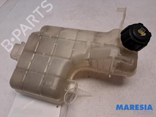 Ekspansjonstank RENAULT ESPACE IV (JK0/1_) 2.0 (JK0A, JK1D, JK0N) (170 hp) 31415216