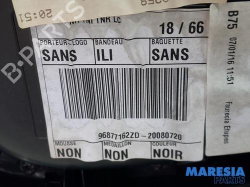 Rear left panel DS DS 4 / DS 4 CROSSBACK (NX_) 1.6 BlueHDi 120 | BP31403691C60  - Image 5