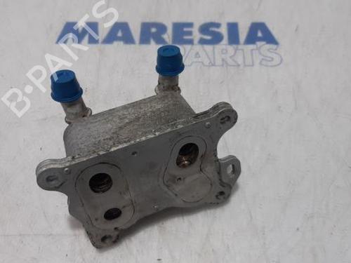 BP31503407M33 main image