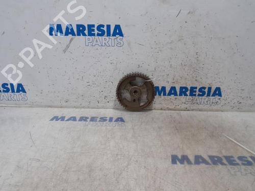 Used Pulley CITROËN BERLINGO Box Body/MPV (B9) 1.6 HDi 90 (90 hp) 31434138