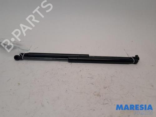 tailgate-lift-support-fiat-panda-312_-319_-2012-31463961 main image